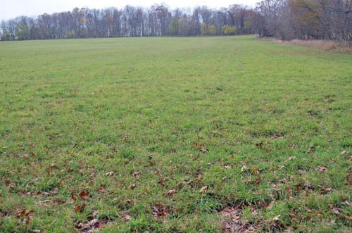 Property photo 42 - 80 Acres & Home - Property Offered in 4 Tracts from 2.3 to 30.0 Acres